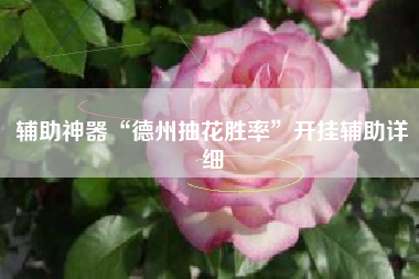 辅助神器“德州抽花胜率	”开挂辅助详细