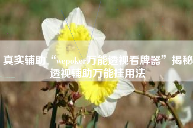真实辅助“wepoker万能透视看牌器	”揭秘透视辅助万能挂用法