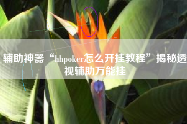 辅助神器“hhpoker怎么开挂教程”揭秘透视辅助万能挂