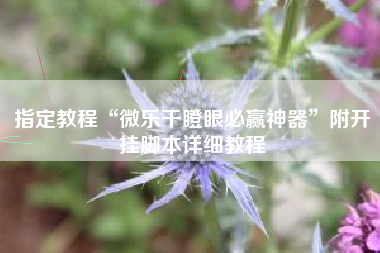 指定教程“微乐干瞪眼必赢神器”附开挂脚本详细教程