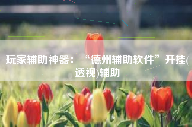 玩家辅助神器：“德州辅助软件”开挂(透视)辅助