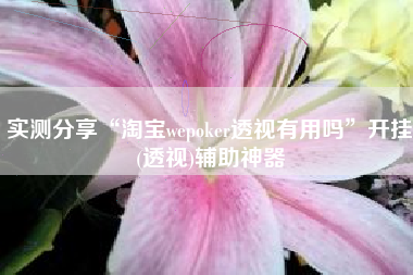实测分享“淘宝wepoker透视有用吗”开挂(透视)辅助神器