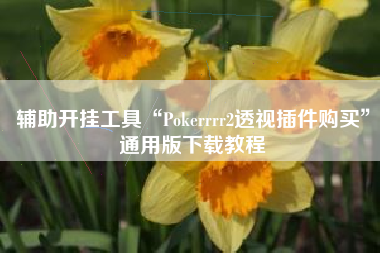 辅助开挂工具“Pokerrrr2透视插件购买”通用版下载教程
