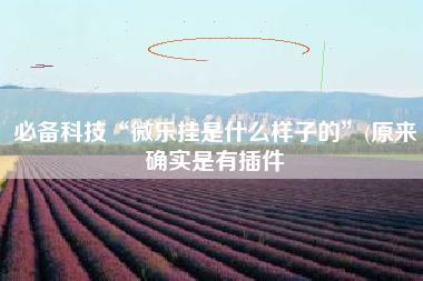 必备科技“微乐挂是什么样子的”(原来确实是有插件