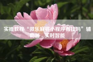 实操教程“微乐麻将小程序有挂吗”辅助器 - 实时智能