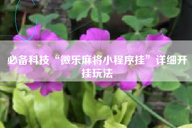 必备科技“微乐麻将小程序挂	”详细开挂玩法