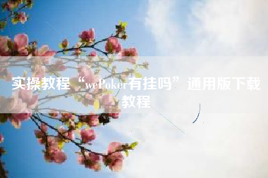 实操教程“wePoker有挂吗”通用版下载教程
