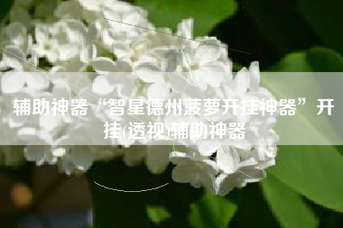 辅助神器“智星德州菠萝开挂神器”开挂(透视)辅助神器