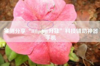 实测分享“HHpoker开挂	”科技辅助神器手机
