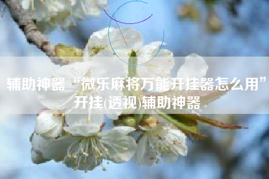 辅助神器“微乐麻将万能开挂器怎么用”开挂(透视)辅助神器