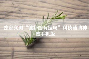 独家实测“德扑圈有挂吗”科技辅助神器手机版