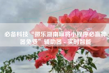 必备科技“微乐湖南麻将小程序必赢神器免费”辅助器 - 实时智能