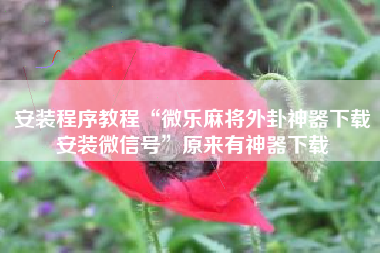 安装程序教程“微乐麻将外卦神器下载安装微信号	”原来有神器下载