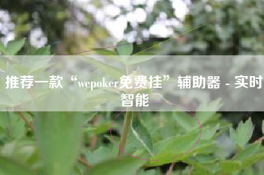 推荐一款“wepoker免费挂”辅助器 - 实时智能
