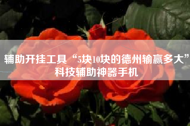 辅助开挂工具“5块10块的德州输赢多大”科技辅助神器手机