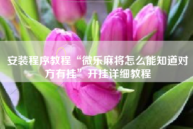 安装程序教程“微乐麻将怎么能知道对方有挂	”开挂详细教程