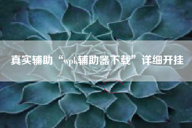 真实辅助“wpk辅助器下载”详细开挂