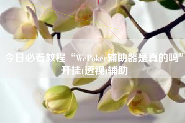 今日必看教程“WePoker辅助器是真的吗”开挂(透视)辅助