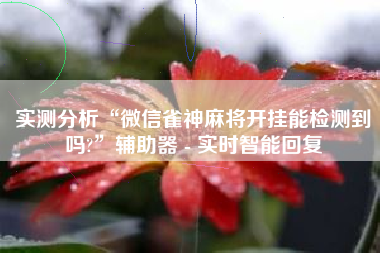 实测分析“微信雀神麻将开挂能检测到吗?	”辅助器 - 实时智能回复