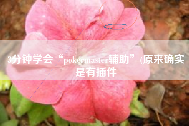 3分钟学会“pokermaster辅助”(原来确实是有插件