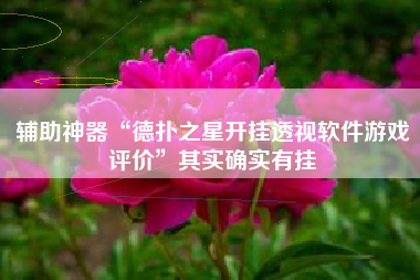 辅助神器“德扑之星开挂透视软件游戏评价”其实确实有挂