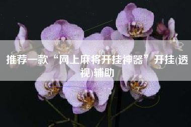 推荐一款“网上麻将开挂神器”开挂(透视)辅助