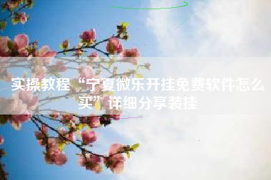 实操教程“宁夏微乐开挂免费软件怎么买”详细分享装挂