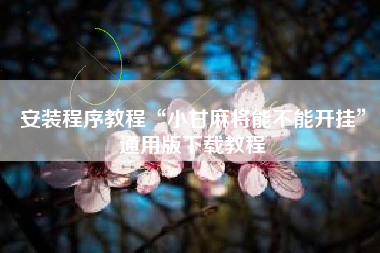 安装程序教程“小甘麻将能不能开挂”通用版下载教程