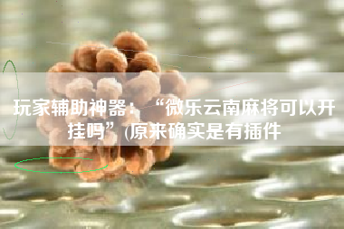 玩家辅助神器：“微乐云南麻将可以开挂吗”(原来确实是有插件