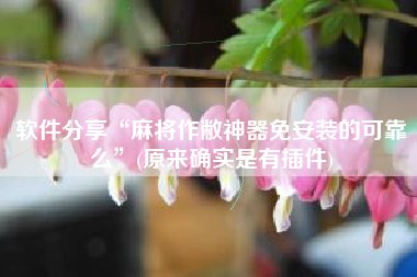 软件分享“麻将作敝神器免安装的可靠么”(原来确实是有插件)