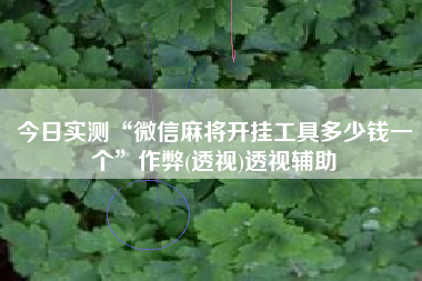 今日实测“微信麻将开挂工具多少钱一个	”作弊(透视)透视辅助