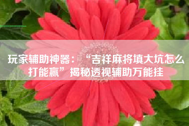 玩家辅助神器：“吉祥麻将填大坑怎么打能赢”揭秘透视辅助万能挂
