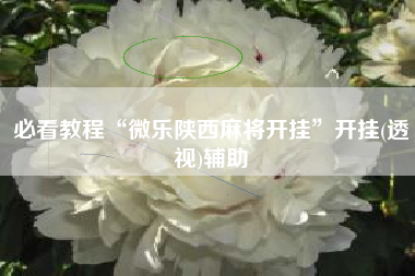 必看教程“微乐陕西麻将开挂”开挂(透视)辅助