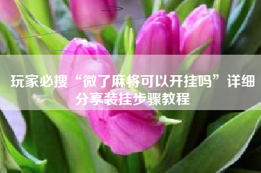 玩家必搜“微了麻将可以开挂吗”详细分享装挂步骤教程