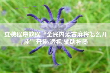 安装程序教程“全民内蒙古麻将怎么开挂	”开挂(透视)辅助神器