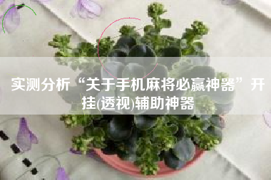 实测分析“关于手机麻将必赢神器	”开挂(透视)辅助神器