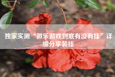 独家实测“微乐游戏到底有没有挂	”详细分享装挂