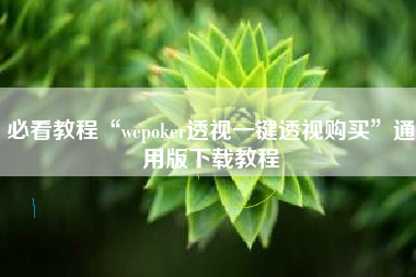 必看教程“wepoker透视一键透视购买	”通用版下载教程