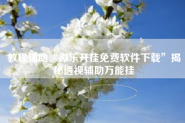 教程辅助“微乐开挂免费软件下载”揭秘透视辅助万能挂