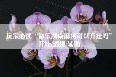 玩家必读“微乐湖南麻将可以开挂吗	”开挂(透视)辅助