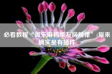 必看教程“微乐麻将亲友房规律”(原来确实是有插件