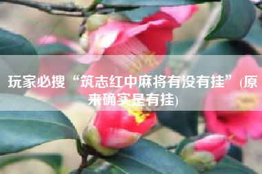 玩家必搜“筑志红中麻将有没有挂	”(原来确实是有挂)
