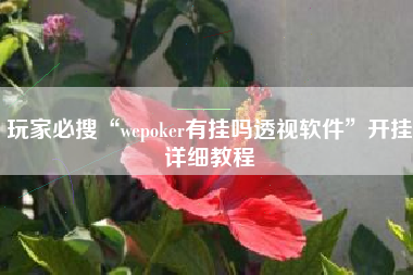 玩家必搜“wepoker有挂吗透视软件	”开挂详细教程