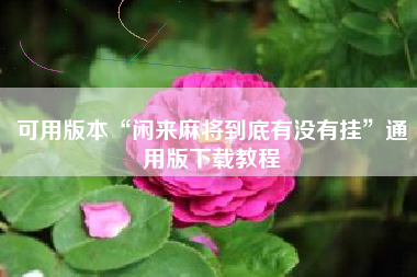 可用版本“闲来麻将到底有没有挂”通用版下载教程