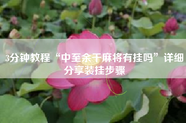 3分钟教程“中至余干麻将有挂吗”详细分享装挂步骤