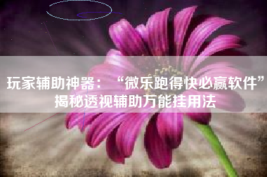 玩家辅助神器：“微乐跑得快必赢软件”揭秘透视辅助万能挂用法
