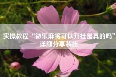 实操教程“微乐麻将可以开挂是真的吗”详细分享装挂