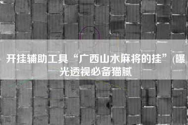 开挂辅助工具“广西山水麻将的挂	”(曝光透视必备猫腻