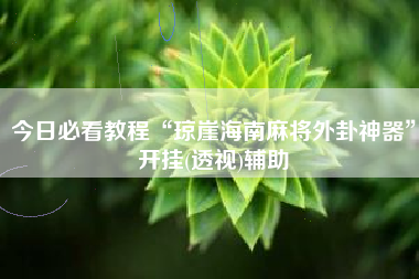 今日必看教程“琼崖海南麻将外卦神器”开挂(透视)辅助