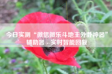 今日实测“微信微乐斗地主外卦神器”辅助器 - 实时智能回复